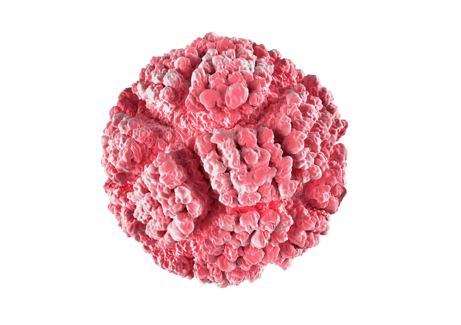 Untitled 10 scaled e1773164915407